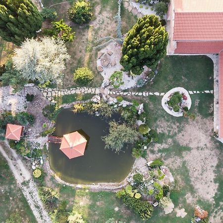 Villa Garden Zalaegerszeg Exteriér fotografie