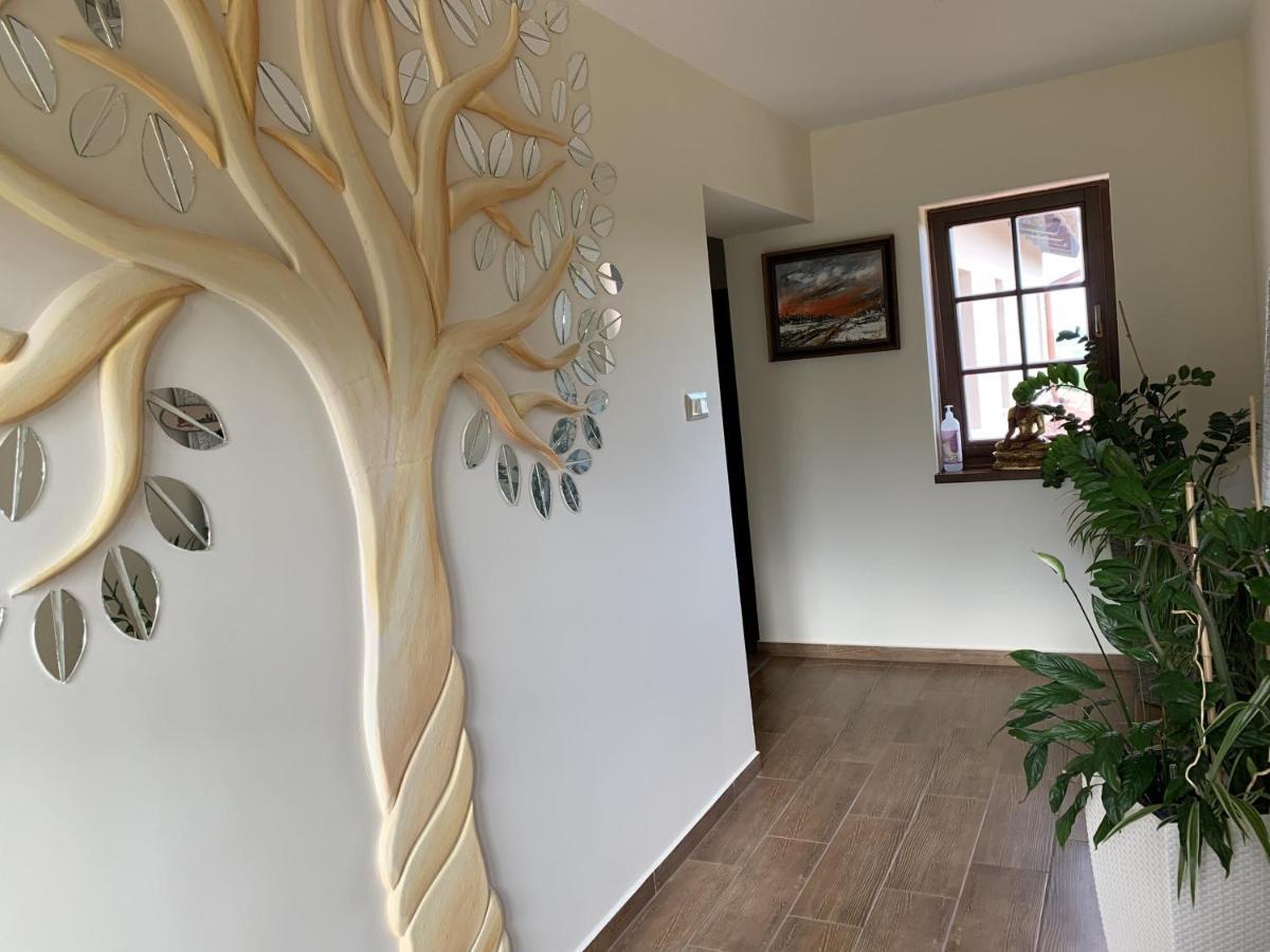 Villa Garden Zalaegerszeg Exteriér fotografie