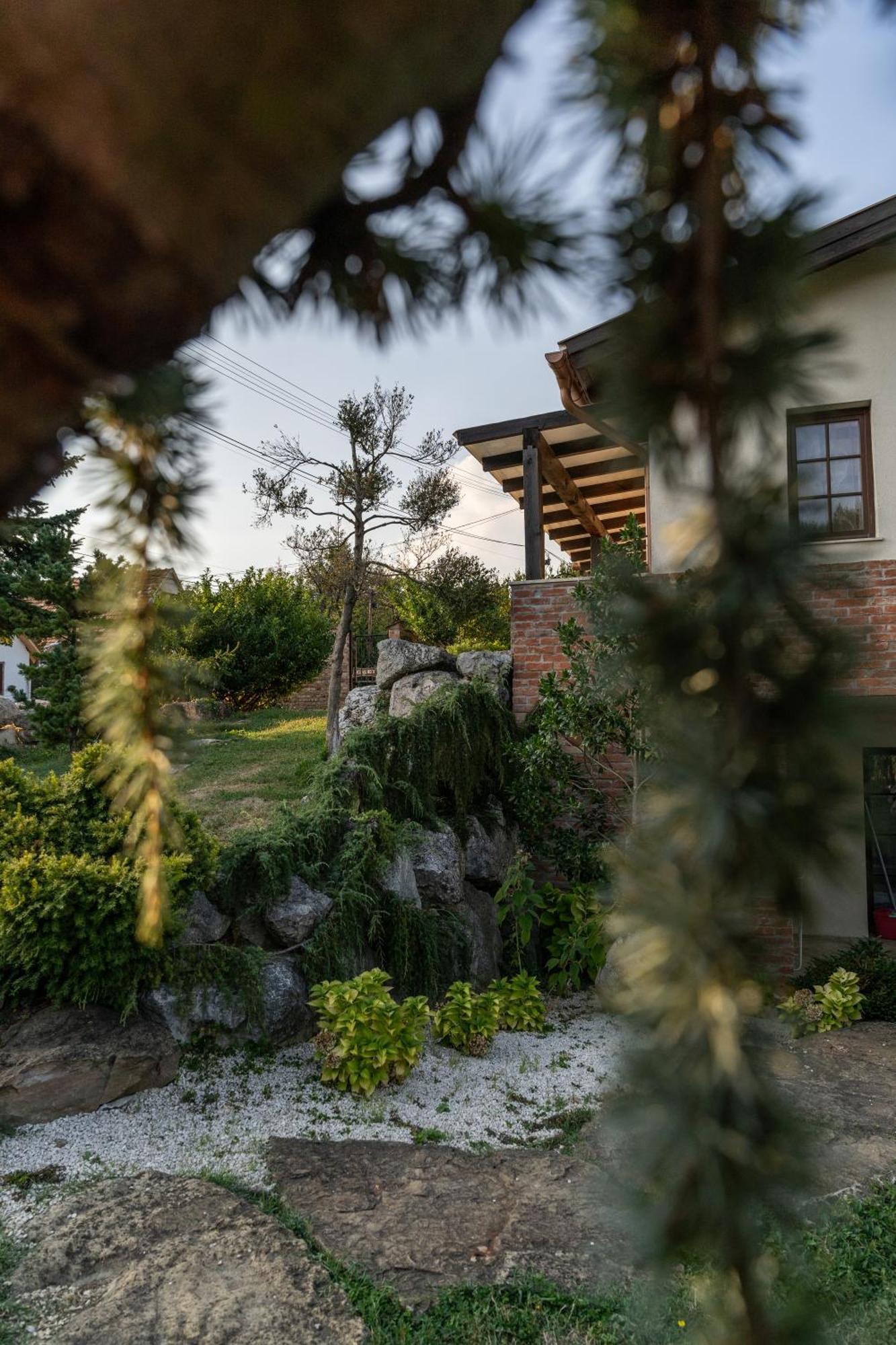 Villa Garden Zalaegerszeg Exteriér fotografie